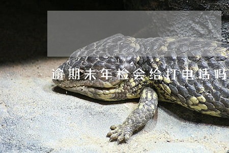 逾期未年检会给打电话吗