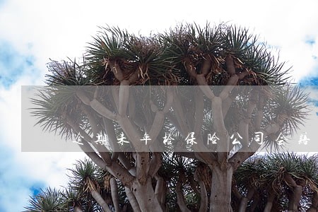 逾期未年检保险公司会赔吗 逾期未年检保险公司会赔吗