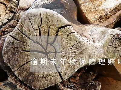 逾期未年检保险理赔吗 逾期未年检保险理赔吗