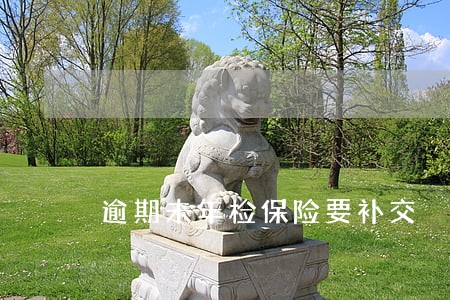 逾期未年检保险要补交 逾期未年检保险要补交