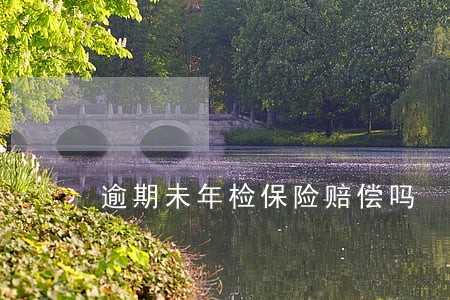 逾期未年检保险赔偿吗 逾期未年检保险赔偿吗