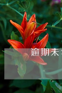 逾期未年检再年检时间怎么计算 逾期未年检再年检时间怎么计算