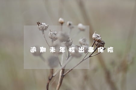 逾期未年检出事保险 逾期未年检出事保险