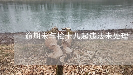 逾期未年检十几起违法未处理 逾期未年检十几起违法未处理
