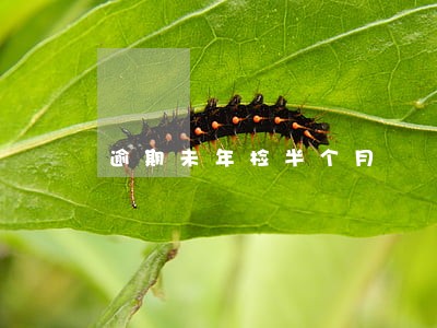 逾期未年检半个月 逾期未年检半个月