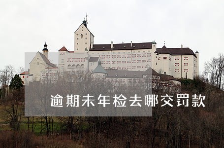 逾期未年检去哪交罚款 逾期未年检去哪交罚款