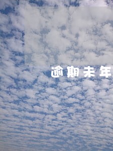 逾期未年检和未上保险的处罚 逾期未年检和未上保险的处罚
