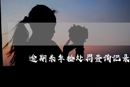 逾期未年检处罚查询记录 逾期未年检处罚查询记录