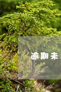 逾期未年检安全提醒 逾期未年检安全提醒