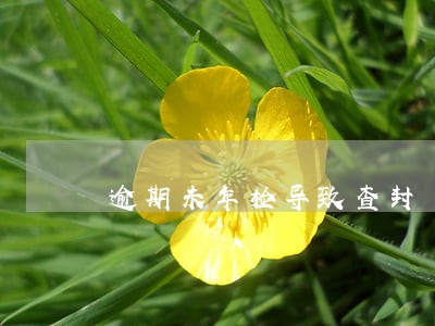 逾期未年检导致查封 逾期未年检导致查封