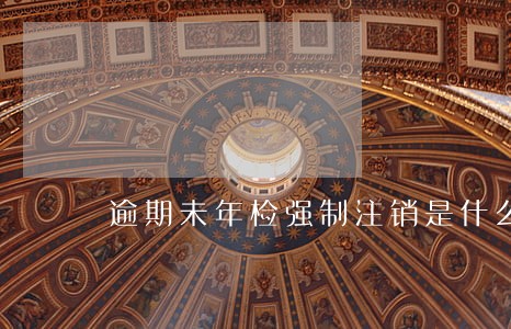 逾期未年检强制注销是什么意思 逾期未年检强制注销是什么意思