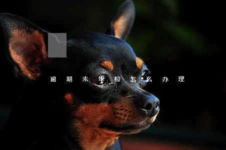 逾期未年检怎么办理 逾期未年检怎么办理