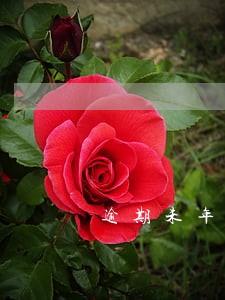 逾期未年检怎么办理年检