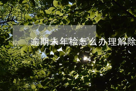 逾期未年检怎么办理解除合同 逾期未年检怎么办理解除合同