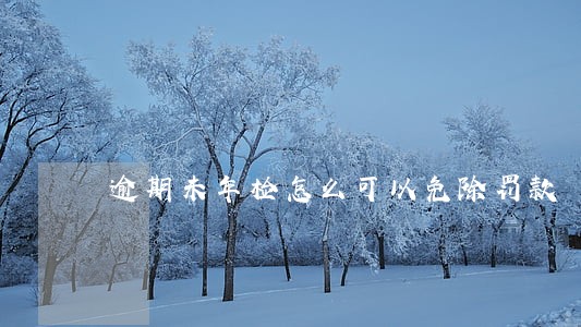 逾期未年检怎么可以免除罚款