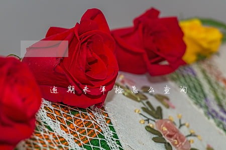 逾期未年检怎么查询 逾期未年检怎么查询