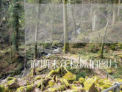 逾期未年检抓拍图片 逾期未年检抓拍图片