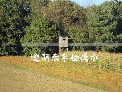 逾期未年检提示 逾期未年检提示
