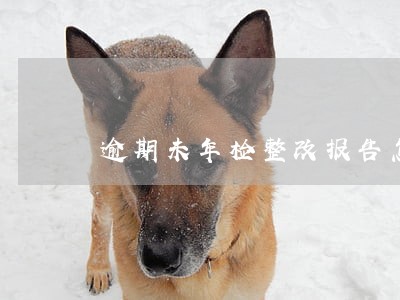 逾期未年检整改报告怎么写 逾期未年检整改报告怎么写