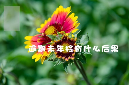 逾期未年检有什么后果 逾期未年检有什么后果