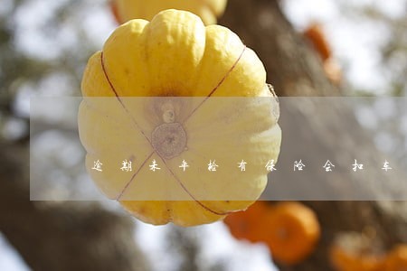 逾期未年检有保险会扣车吗 逾期未年检有保险会扣车吗