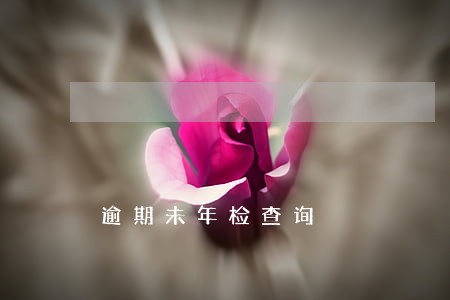 逾期未年检查询
