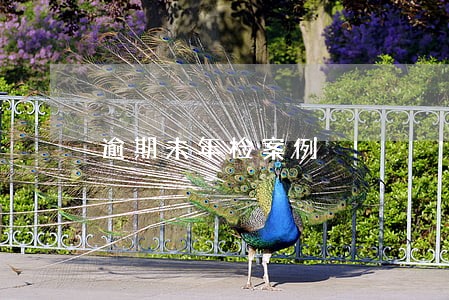 逾期未年检案例 逾期未年检案例