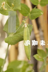 逾期未年检注销后怎么处理 逾期未年检注销后怎么处理