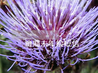 逾期未年检短信 逾期未年检短信