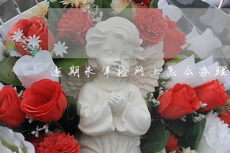 逾期未年检网上怎么办理 逾期未年检网上怎么办理