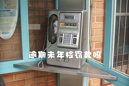 逾期未年检罚款吗 逾期未年检罚款吗