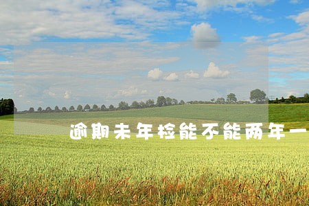 逾期未年检能不能两年一起检 逾期未年检能不能两年一起检