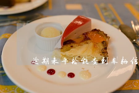 逾期未年检能查到车辆信息吗 逾期未年检能查到车辆信息吗
