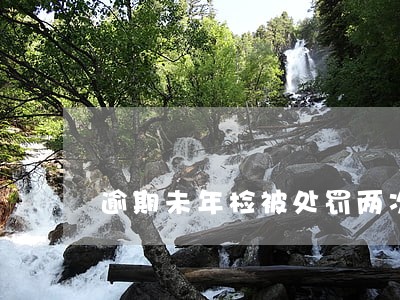 逾期未年检被处罚两次