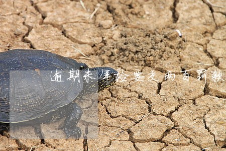 逾期未年检要交两百罚款 逾期未年检要交两百罚款