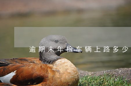 逾期未年检车辆上路多少时间拍 逾期未年检车辆上路多少时间拍