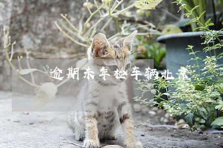 逾期未年检车辆北京 逾期未年检车辆北京