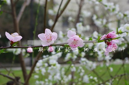 逾期未年检车辆报废有什么后果 逾期未年检车辆报废有什么后果
