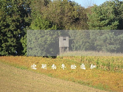 逾期未年检通知 逾期未年检通知