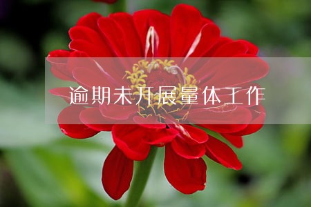 逾期未开展量体工作