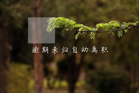 逾期未归自动离职 逾期未归自动离职