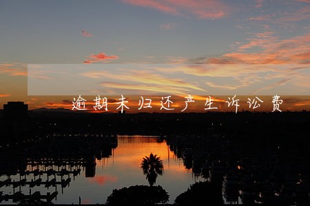 逾期未归还产生诉讼费 逾期未归还产生诉讼费