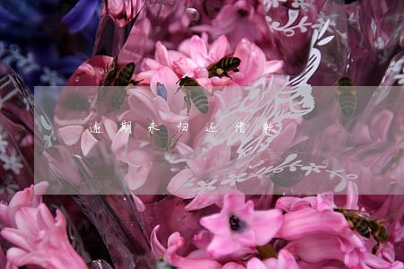 逾期未归还借款 逾期未归还借款