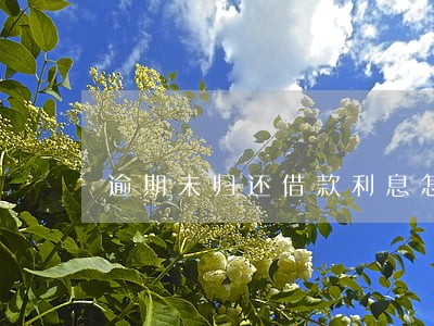 逾期未归还借款利息怎么算 逾期未归还借款利息怎么算
