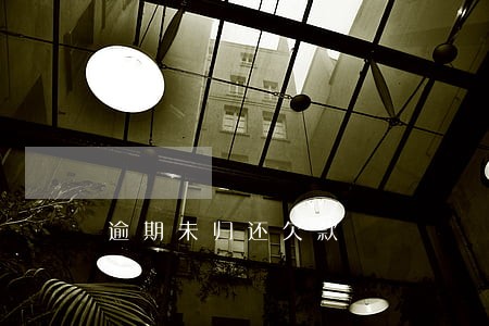 逾期未归还欠款