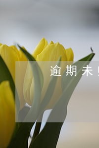 逾期未归还款项 逾期未归还款项