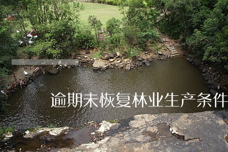 逾期未恢复林业生产条件