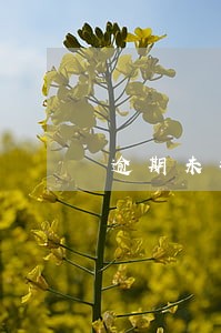 逾期未打款滞纳金 逾期未打款滞纳金