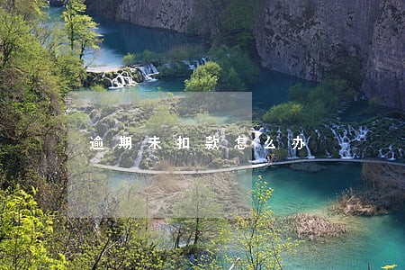 逾期未扣款怎么办 逾期未扣款怎么办