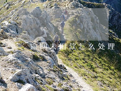 逾期未扣款怎么处理 逾期未扣款怎么处理